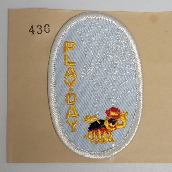 VTG Iron On Patch Spider Web Play Day 3" Oval - Picture 7 of 7